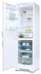 Refrigerator Electrolux ERB 3911 60.00x200.00x60.00 cm