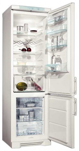 Tủ lạnh Electrolux ERB 4024 ảnh, đặc điểm