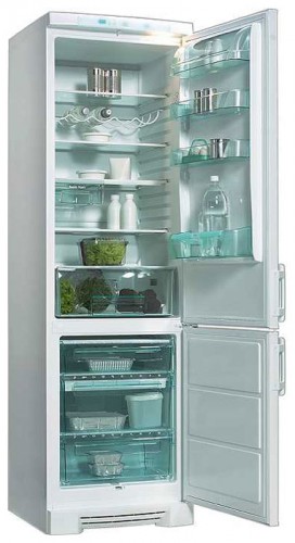 Tủ lạnh Electrolux ERB 4109 ảnh, đặc điểm