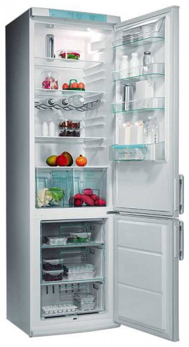 Refrigerator Electrolux ERB 9042 larawan, katangian
