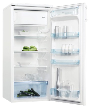 Tủ lạnh Electrolux ERC 24010 W ảnh, đặc điểm