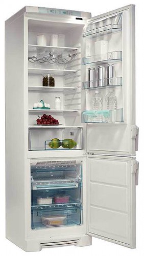 Buzdolabı Electrolux ERF 3700 fotoğraf, özellikleri