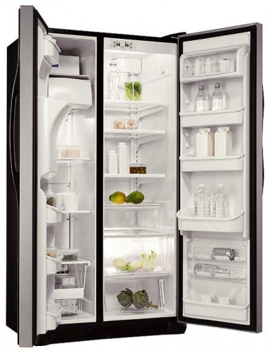 Refrigerator Electrolux ERL 6296 SK larawan, katangian