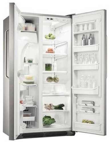 Refrigerator Electrolux ERL 6297 XX larawan, katangian