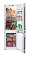 Kühlschrank Electrolux ERN 2921 Foto, Charakteristik