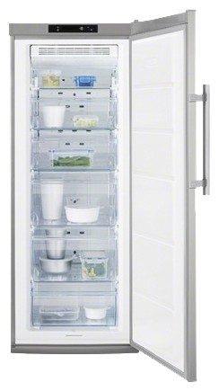 Холодильник Electrolux EUF 2042 AOX Фото, характеристики
