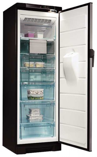 Buzdolabı Electrolux EUFG 2900 X fotoğraf, özellikleri
