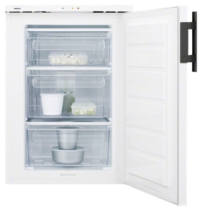 Ψυγείο Electrolux EUT 1106 AOW φωτογραφία, χαρακτηριστικά