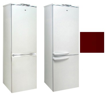 Buzdolabı Exqvisit 291-1-3005 fotoğraf, özellikleri