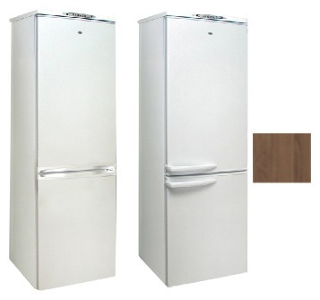 Refrigerator Exqvisit 291-1-C6/1 larawan, katangian