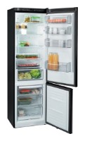 Buzdolabı Fagor FFJ 6825 N fotoğraf, özellikleri