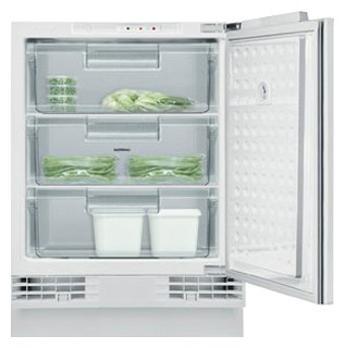 Buzdolabı Gaggenau RF 200-200 fotoğraf, özellikleri