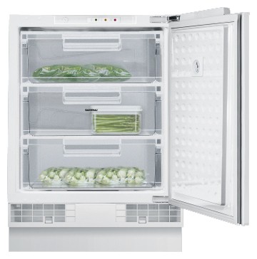 Buzdolabı Gaggenau RF 200-202 fotoğraf, özellikleri