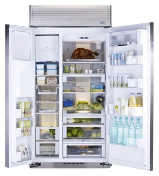Buzdolabı General Electric Monogram ZSEP420DYSS fotoğraf, özellikleri