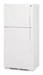 Холодильник General Electric TBG22PAWW 80.00x168.00x71.00 см