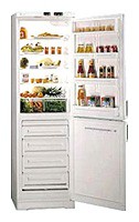 Buzdolabı General Electric TEG14ZEY fotoğraf, özellikleri