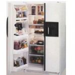 Холодильник General Electric TFG28PFBB 90.80x174.60x77.20 см