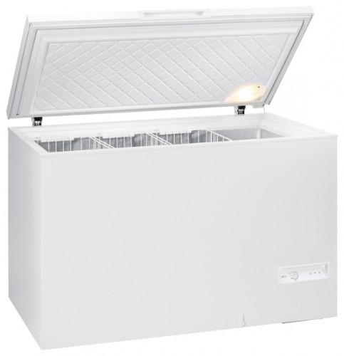 Buzdolabı Gorenje FHE 301 W fotoğraf, özellikleri