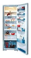 Buzdolabı Gorenje R 67367 E fotoğraf, özellikleri