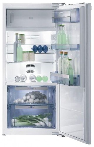 Refrigerator Gorenje RBI 56208 larawan, katangian