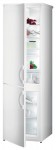 Refrigerator Gorenje RC 4180 AW 54.00x179.10x60.00 cm