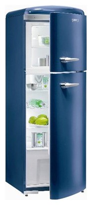 Buzdolabı Gorenje RF 62301 OB fotoğraf, özellikleri