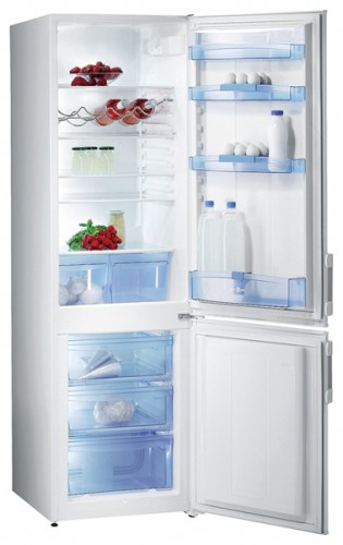 Ψυγείο Gorenje RK 4200 W φωτογραφία, χαρακτηριστικά