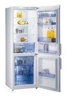 Buzdolabı Gorenje RK 60355 DW fotoğraf, özellikleri