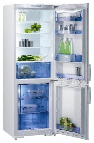 Refrigerator Gorenje RK 61340 W larawan, katangian