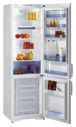 Tủ lạnh Gorenje RK 61391 W ảnh, đặc điểm