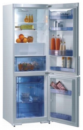 Refrigerator Gorenje RK 63341 W larawan, katangian