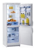 Refrigerator Gorenje RK 63343 W larawan, katangian