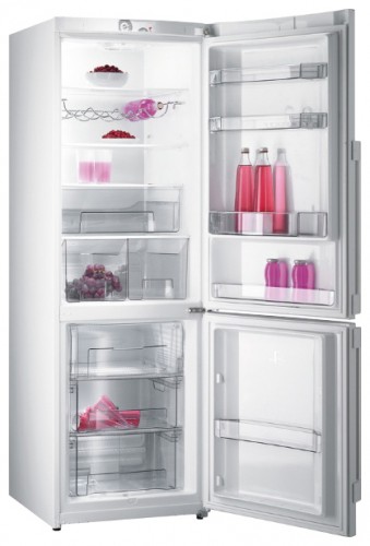 Tủ lạnh Gorenje RK 65 SYA ảnh, đặc điểm
