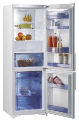 Refrigerator Gorenje RK 65324 E larawan, katangian