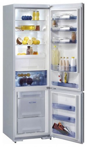 Buzdolabı Gorenje RK 67365 SA fotoğraf, özellikleri