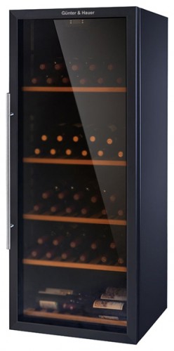 Buzdolabı Gunter & Hauer WK-100P fotoğraf, özellikleri