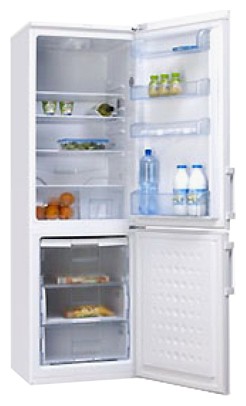 Buzdolabı Hansa FK323.3 fotoğraf, özellikleri