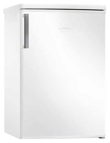 Buzdolabı Hansa FM138.3 fotoğraf, özellikleri