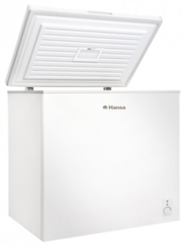 Buzdolabı Hansa FS200.3 fotoğraf, özellikleri