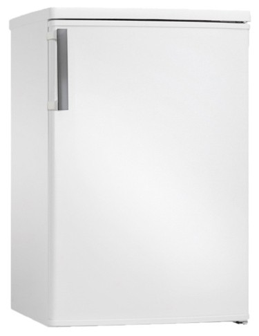 Buzdolabı Hansa FZ138.3 fotoğraf, özellikleri