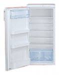 Refrigerator Hansa RFAC200iM 55.80x120.00x60.00 cm