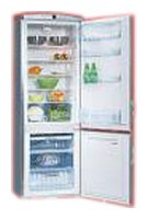 Tủ lạnh Hansa RFAK310iMA ảnh, đặc điểm