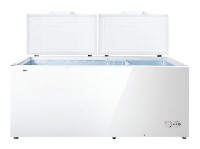 Buzdolabı Hisense FC-66DD4SA fotoğraf, özellikleri