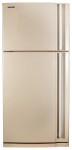 Холодильник Hitachi R-Z662EU9PBE 84.50x181.00x71.50 см