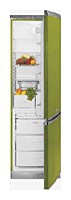 Buzdolabı Hotpoint-Ariston ERFV 402X GR fotoğraf, özellikleri