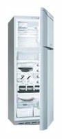 Ψυγείο Hotpoint-Ariston MTB 4559 NF φωτογραφία, χαρακτηριστικά