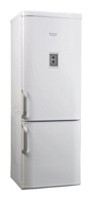 Køleskab Hotpoint-Ariston RMBHA 1200.1 F Foto, Egenskaber
