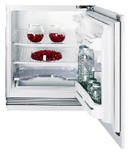 Buzdolabı Indesit IN TS 1610 fotoğraf, özellikleri