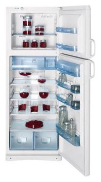 Buzdolabı Indesit TAN 5 FNF S fotoğraf, özellikleri