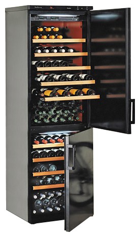 Refrigerator IP INDUSTRIE C600 larawan, katangian